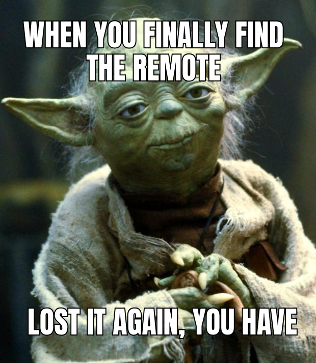 When you finally find the remote